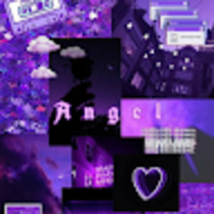 Meet your Posher, Daysha